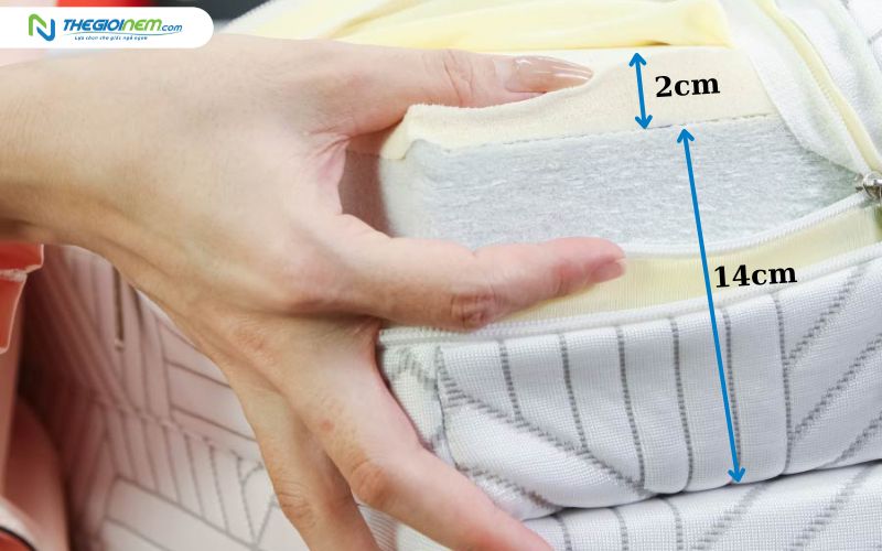Nệm cao su bông có độ dày 7–16cm